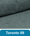 Poťahová látka Toronto 09