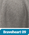 Poťahová látka Braveheart 09